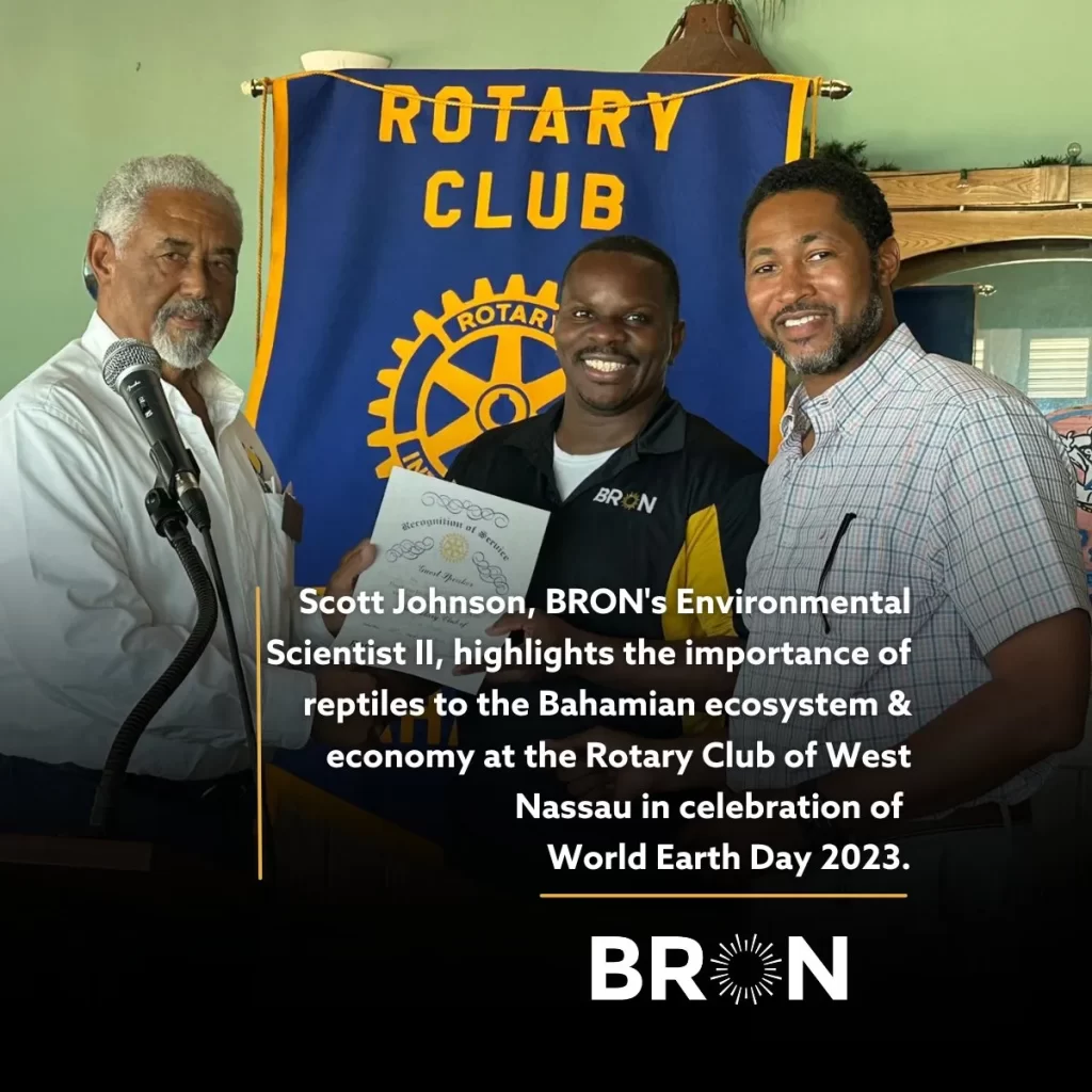 Bahamian Reptiles: Scott Johnson’s Rotary Talk, West Nassau